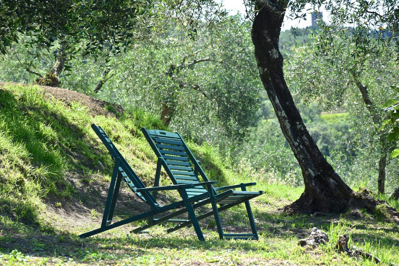 Palazzina Del Chiasso Bed and Breakfast San Martino in Freddana Εξωτερικό φωτογραφία