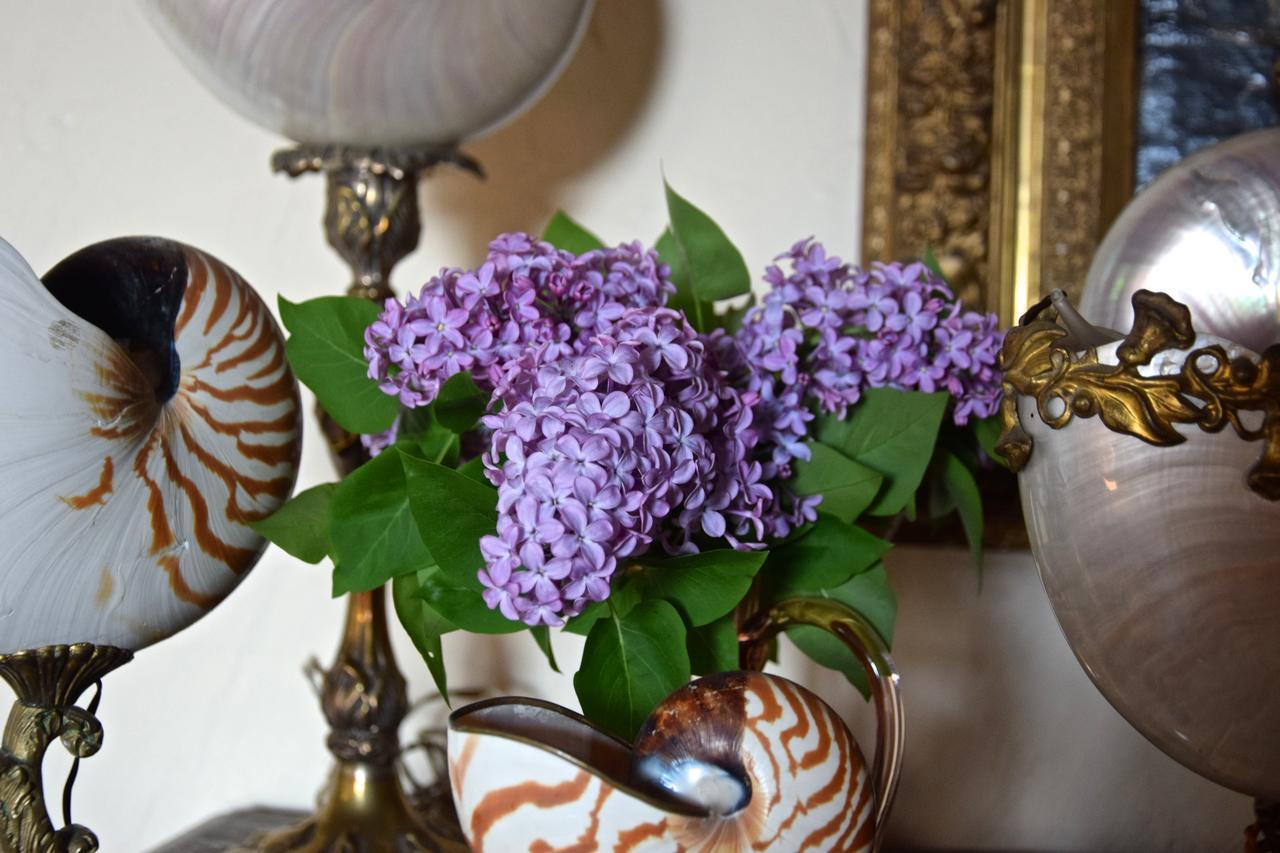 Palazzina Del Chiasso Bed and Breakfast San Martino in Freddana Εξωτερικό φωτογραφία