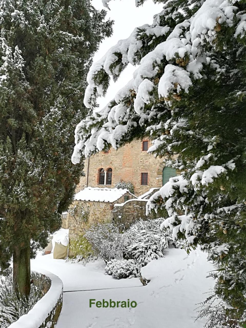 Palazzina Del Chiasso Bed and Breakfast San Martino in Freddana Εξωτερικό φωτογραφία